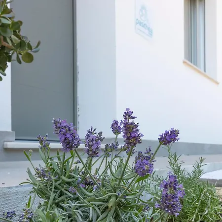 Pasithea House